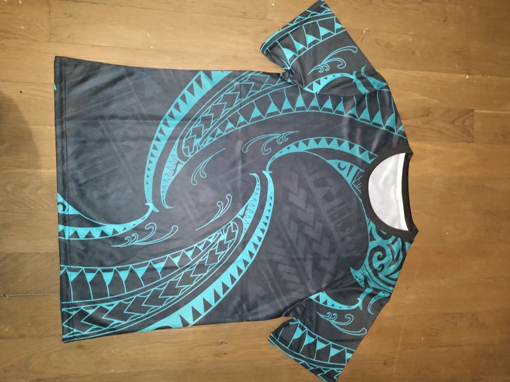 Maillot t-shirt de sport turquoise/noir (taille S)
7 Brillon-en-Barrois (55)