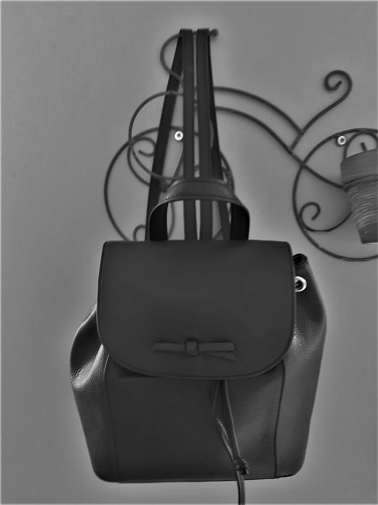 Sac � main 20 Brie (80)