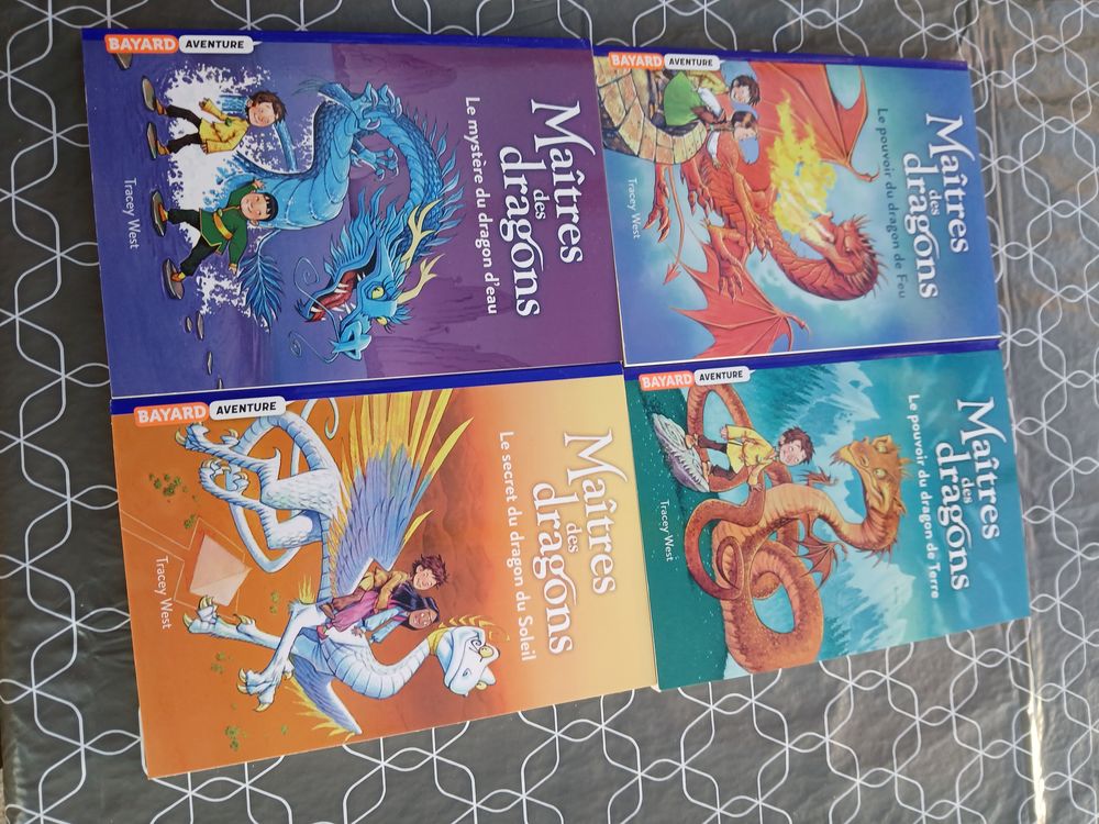 MA�TRES DES DRAGONS 16 N�vian (11)