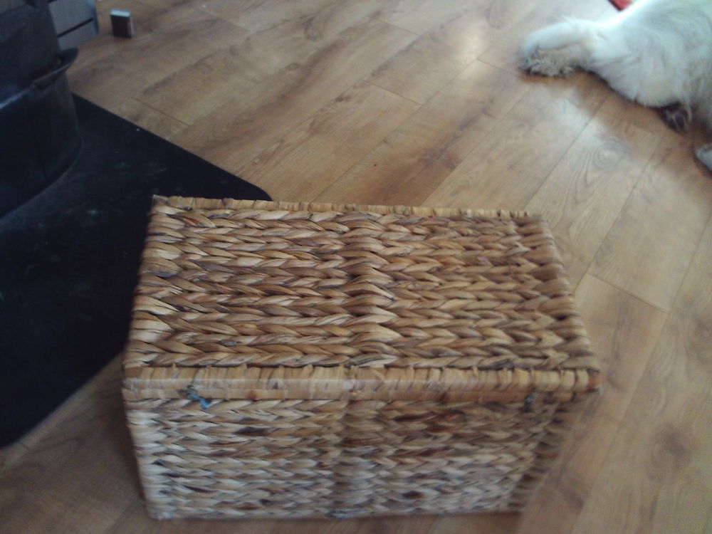 Malle en jacinthe d'eau 45 Berriac (11)