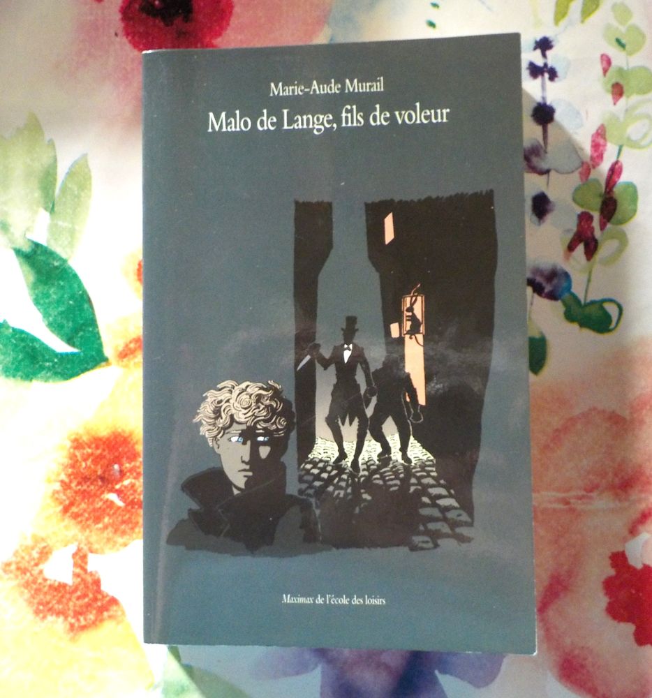 MALO DE LANGE, FILS DE VOLEUR de Marie-Aude MURAIL Maximax 2 Bubry (56)