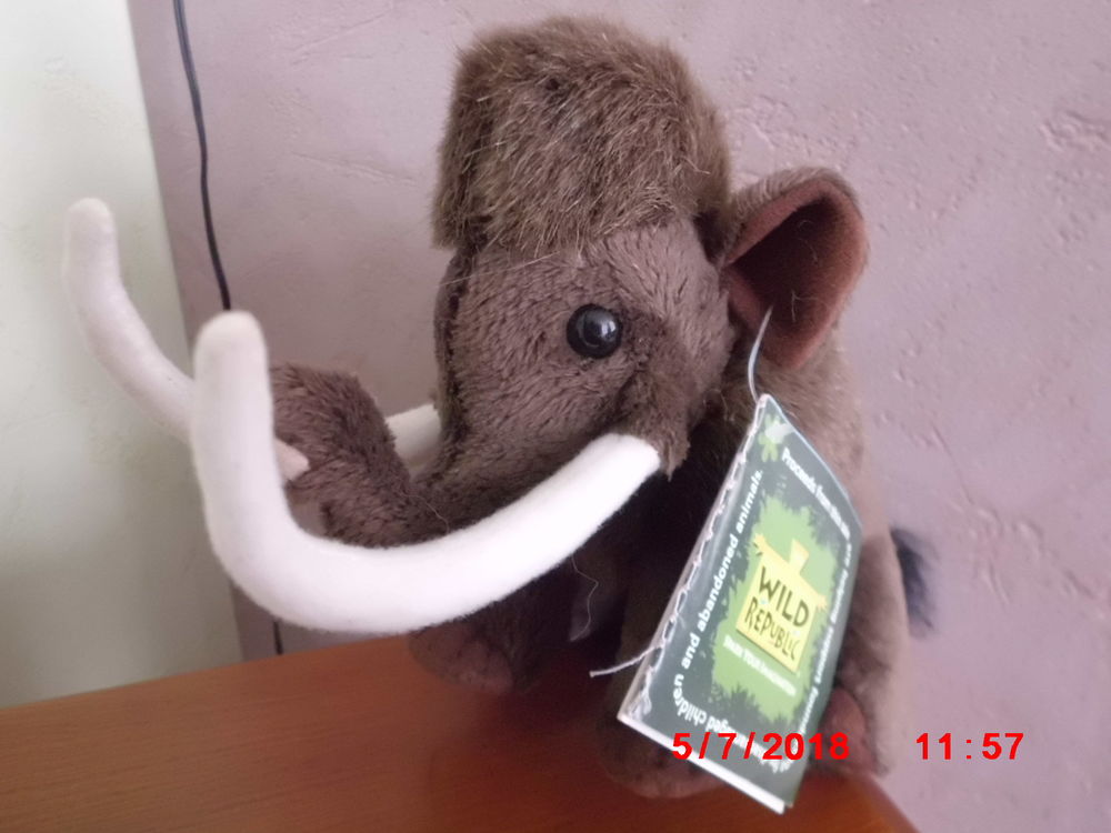 MAMMOUTH WILD REPUBLIC 16 Oignies (62)