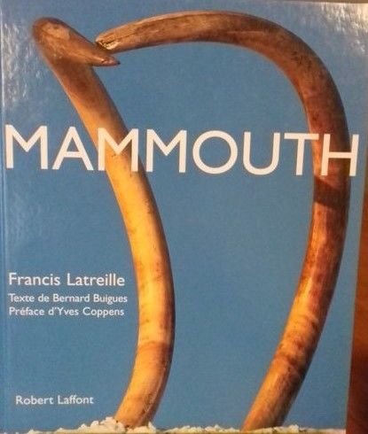  Mammouth  5 Bayeux (14)