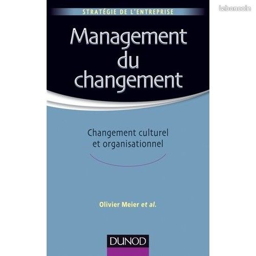 Management Du Changement - Changement Culturel Et Organisati 16 Vigneux-sur-Seine (91)
