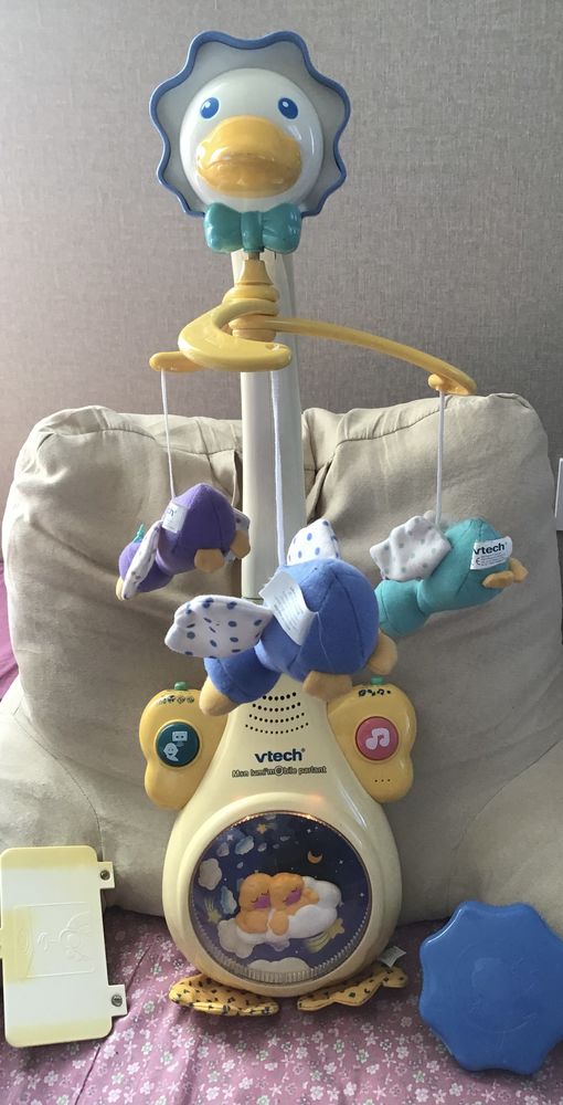 Man�ge oie  musical lumineuse Vtech 5 Verneuil-sur-Avre (27)