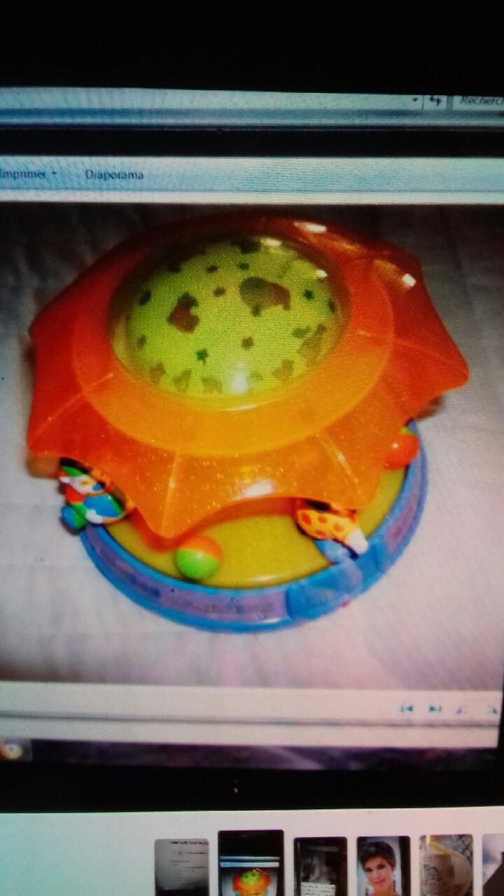 Man�ge 8 Carnac (56)