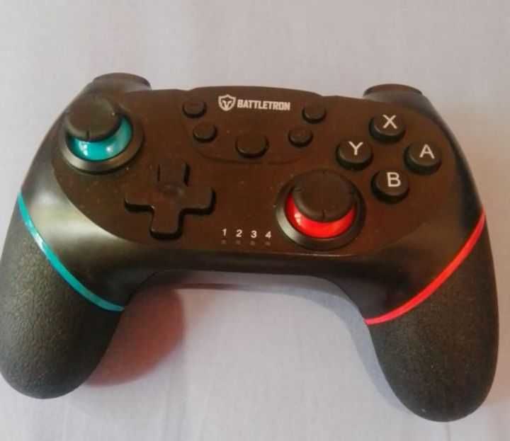 manette pour switch 25 L�ge-Cap-Ferret (33)