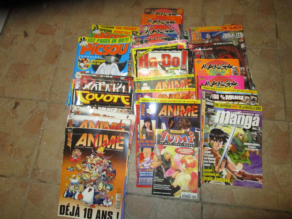 mangas 10 Pont-de-l'Is�re (26)