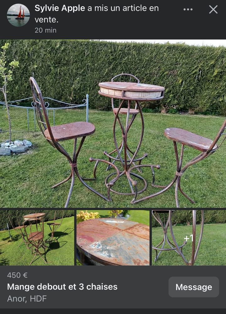 Mange debout et 3chaises 450 Anor (59)