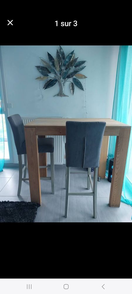 Mange debout et ses 2 chaises hautes 300 Lux (71)