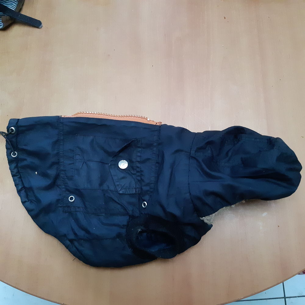 Manteau bleu pour petit chien 5 Croix (59)
