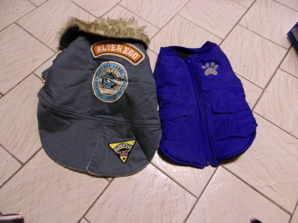 manteau chiens 10 Arras (62)