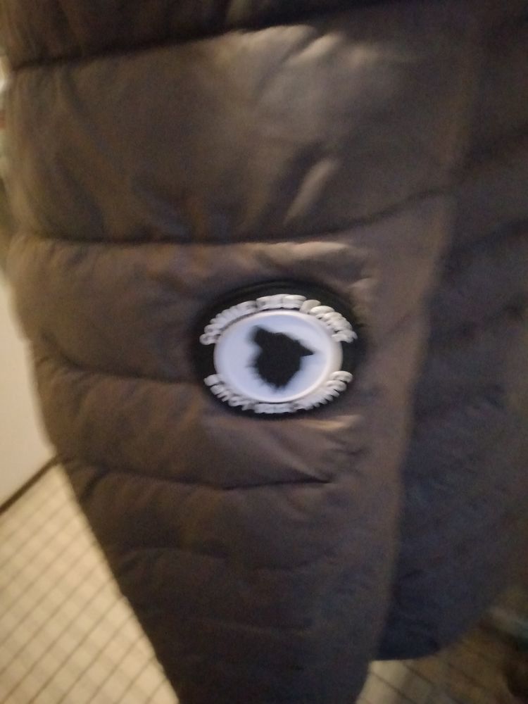 Manteau Femme 35 Corbeil-Essonnes (91)