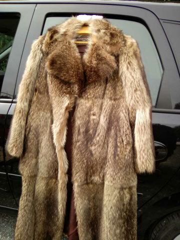 Manteau de fourrure en Marmotte 30 Tocane-Saint-Apre (24)