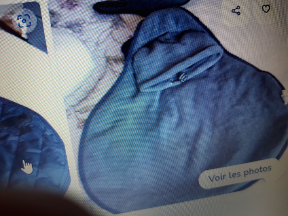 manteau petit chien 10 Barbonne-Fayel (51)