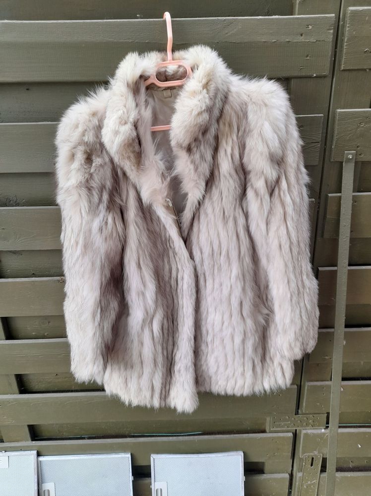 manteau renard argent� 
250 Gallardon (28)