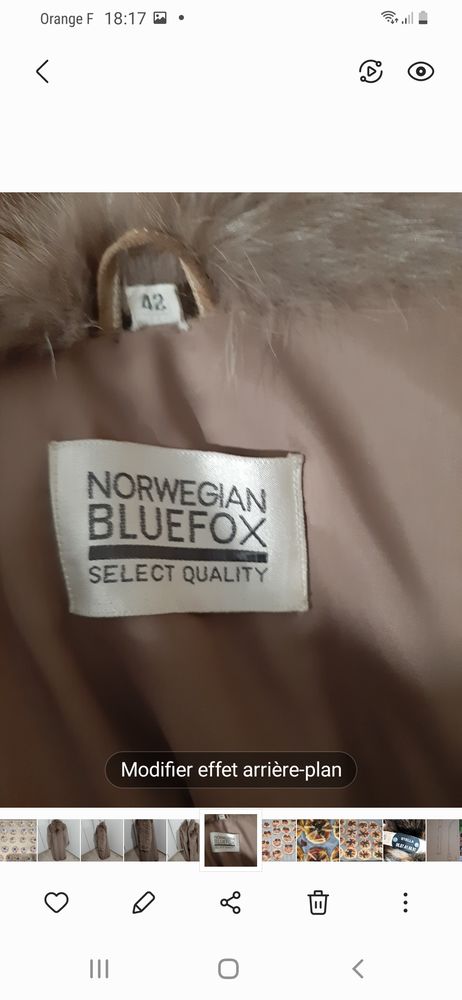 Manteau renard argent�.
Manteau re 300 Villiers-Adam (95)