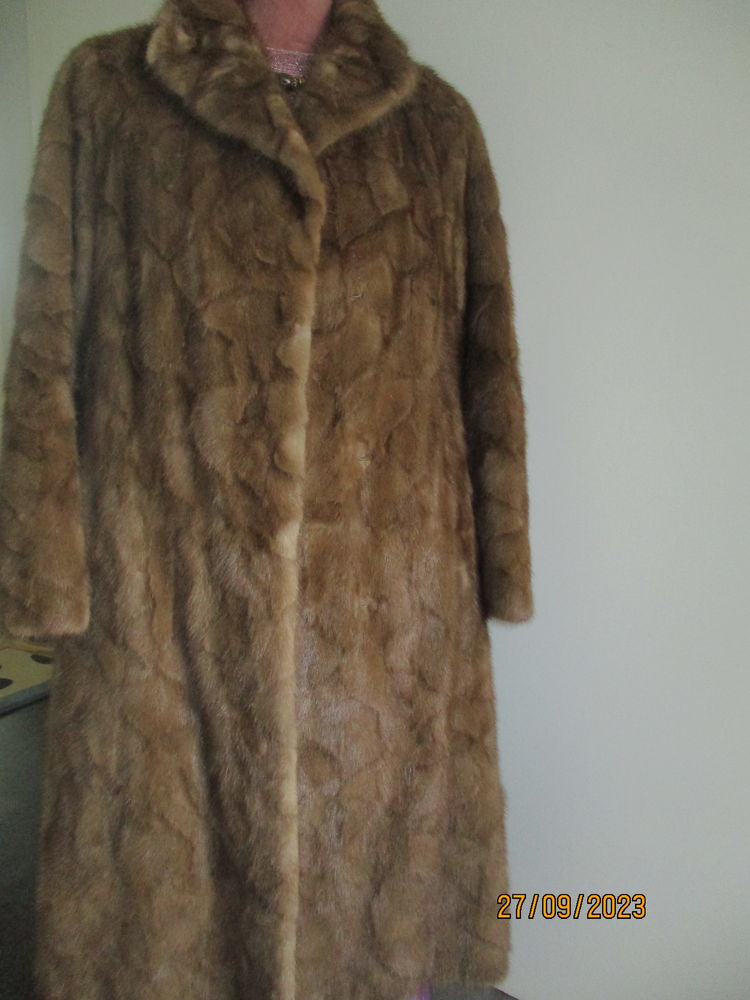 Achetez manteau vison long quasi neuf, annonce vente à MoretsurLoing (77) WB172484774