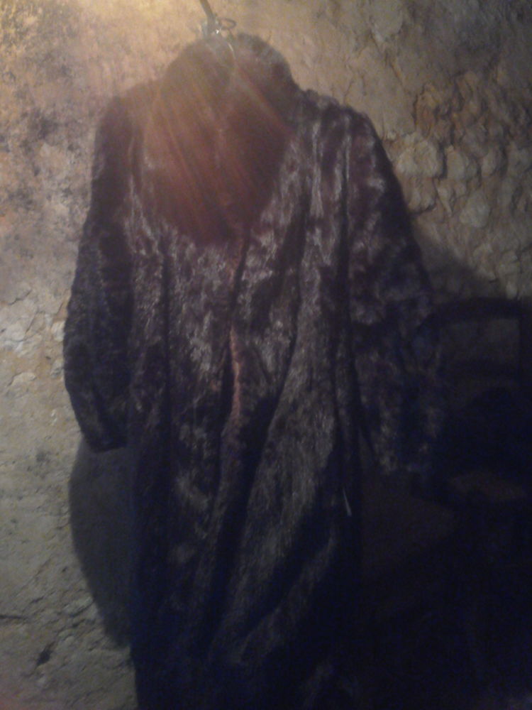 Manteau vison marron fonc� 0 Saint-Trojan (33)