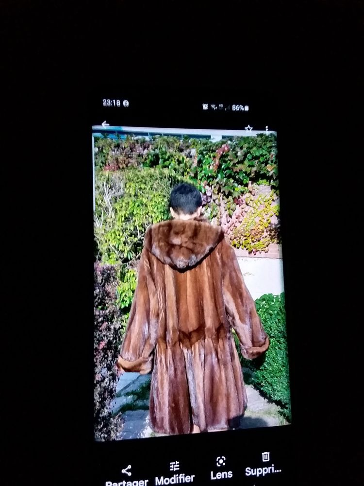 Manteau vison 0 Le Havre (76)