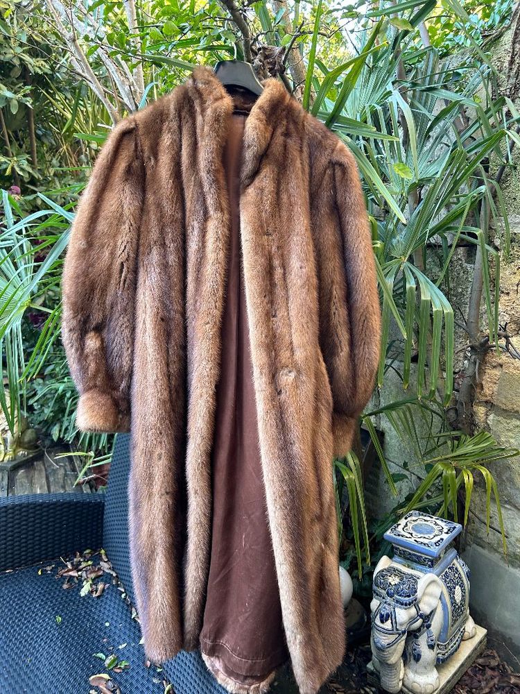 Achetez manteau vison occasion, annonce vente à Bordeaux (33) WB173044405