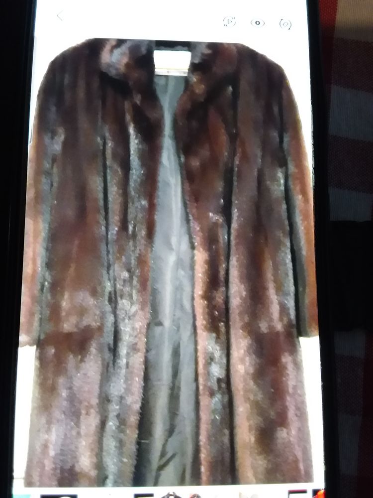 Manteau vison 400 Vic-le-Comte (63)