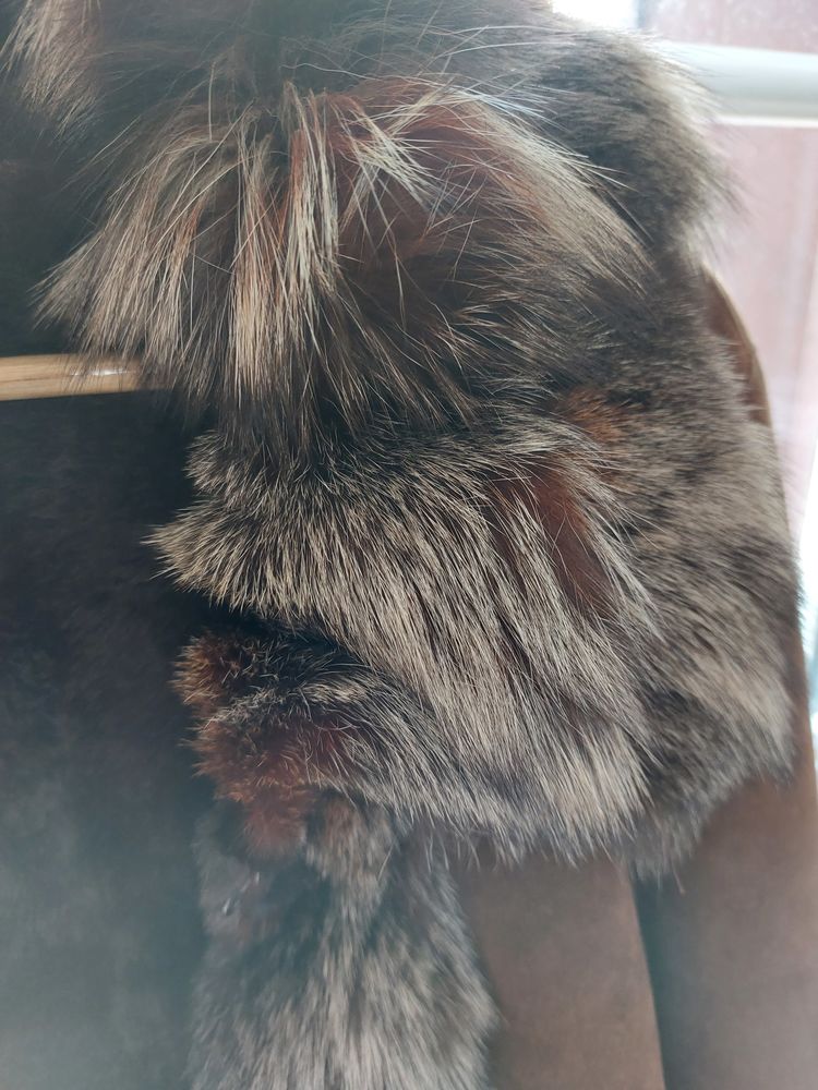 Manteau 50 Brou (28)