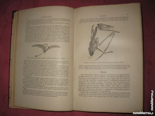 Manuel anatomie comparée vertébrés année 1890 RARE 60 Brive-la-Gaillarde (19)
