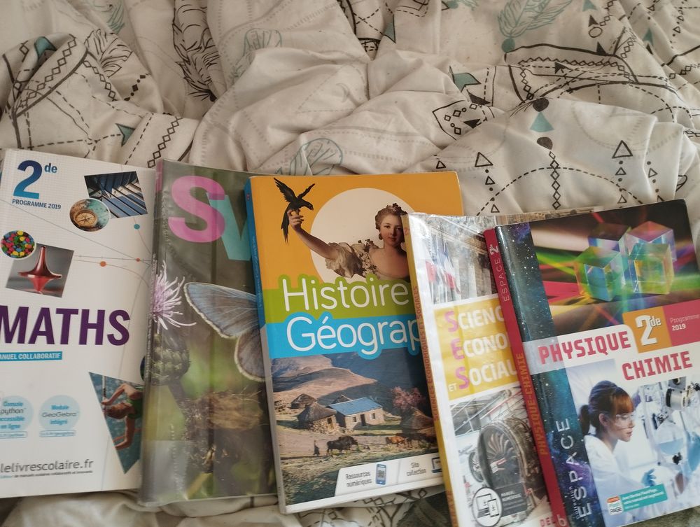 Lot de manuels scolaires niveau 2de ! 60 Cerisy-la-Salle (50)