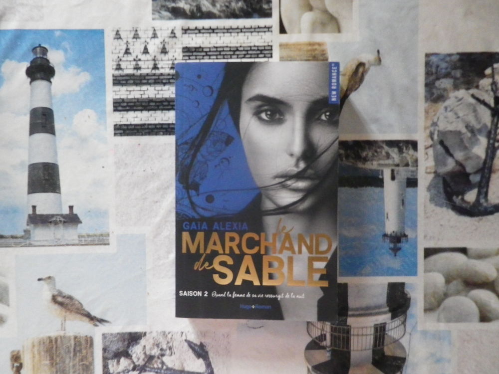 LE MARCHAND DE SABLE Saison 2 de Ga�a Alexia Hugo New Romanc 9 Bubry (56)