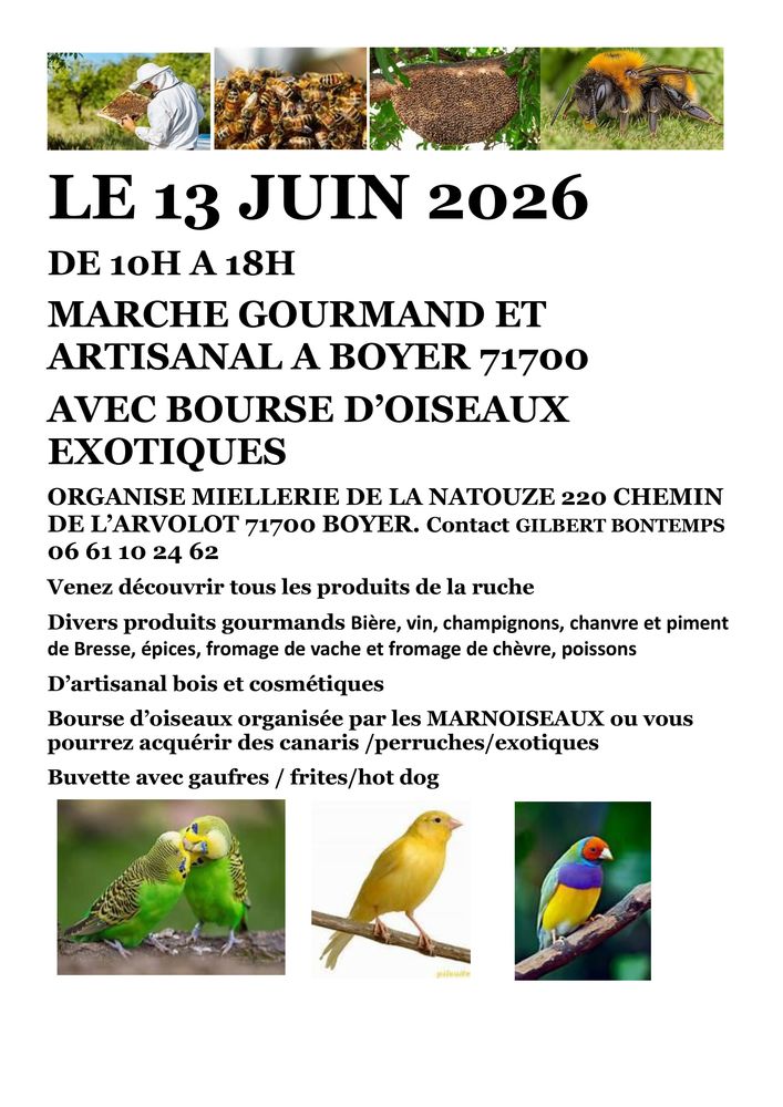 MARCHE GOURMAND ET ARTISANAL avec bourse d'oiseaux. 0 Boyer (71)
