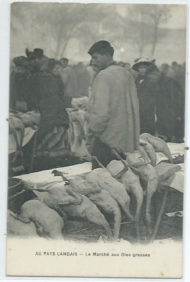 Le march� aux oies grasses 6 Castel-Sarrazin (40)