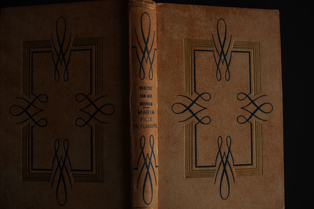 MARIA DE FLANDRE Maxence Van des Meerch 5 Rennes (35)