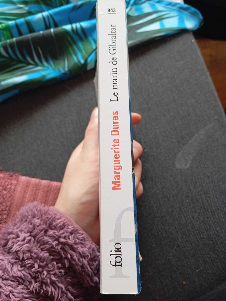 le+marin+de+Gibraltar 1 Nice (06)