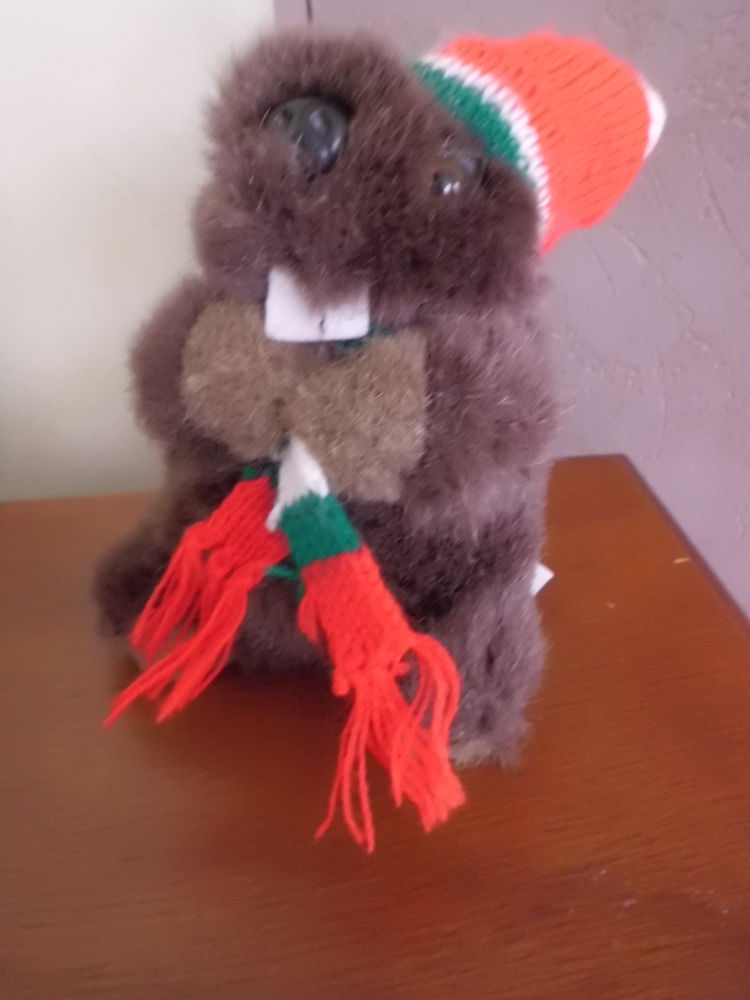 MARMOTTE AVEC POUET POUET 10 Oignies (62)