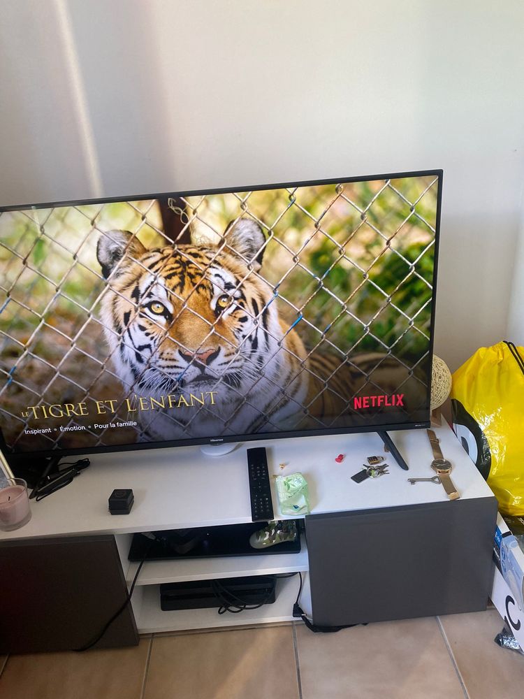 Tv 4K de marque Hisense 200 La Chapelle-des-Fougeretz (35)