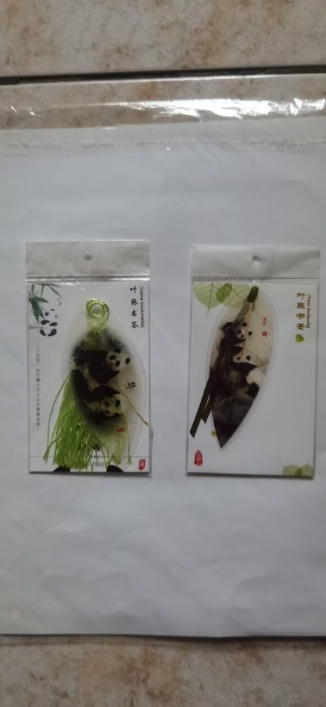 Marque-Page Signet 5 Dijon (21)