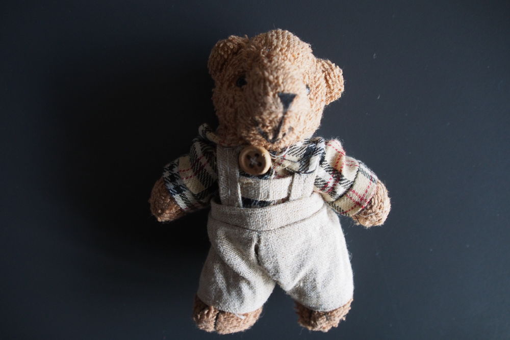 Mascotte ourson 3 Rennes (35)