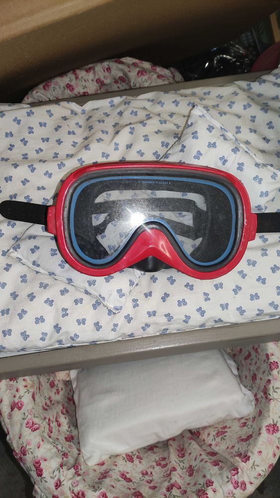 Masque+de+plong�e 5 Azay-le-Rideau (37)