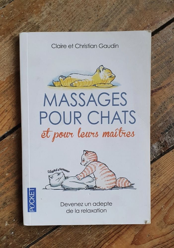 Massages pour chats et pour leurs ma�tres 2 Monistrol-sur-Loire (43)
