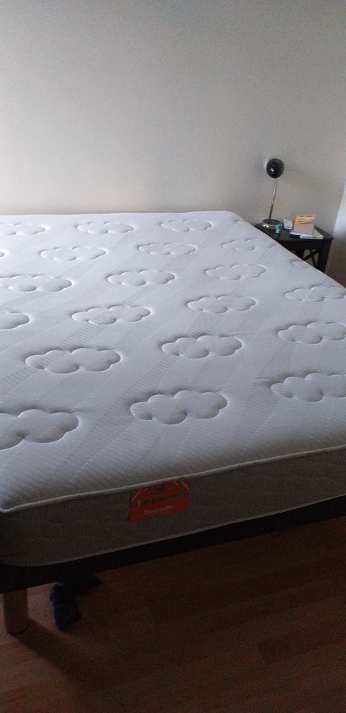Matelas Dunlopillo 160/200 450 Saint-Malo-de-Phily (35)