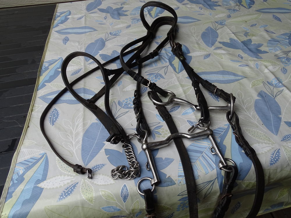 mat�riel �quitation 80 Ucel (07)