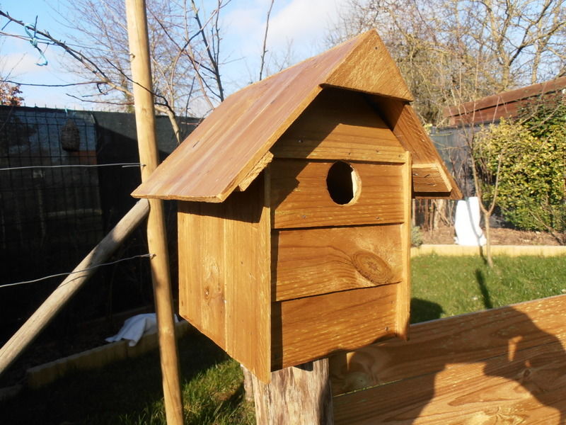 Maternit� pour oiseau. 10 Douvrin (62)