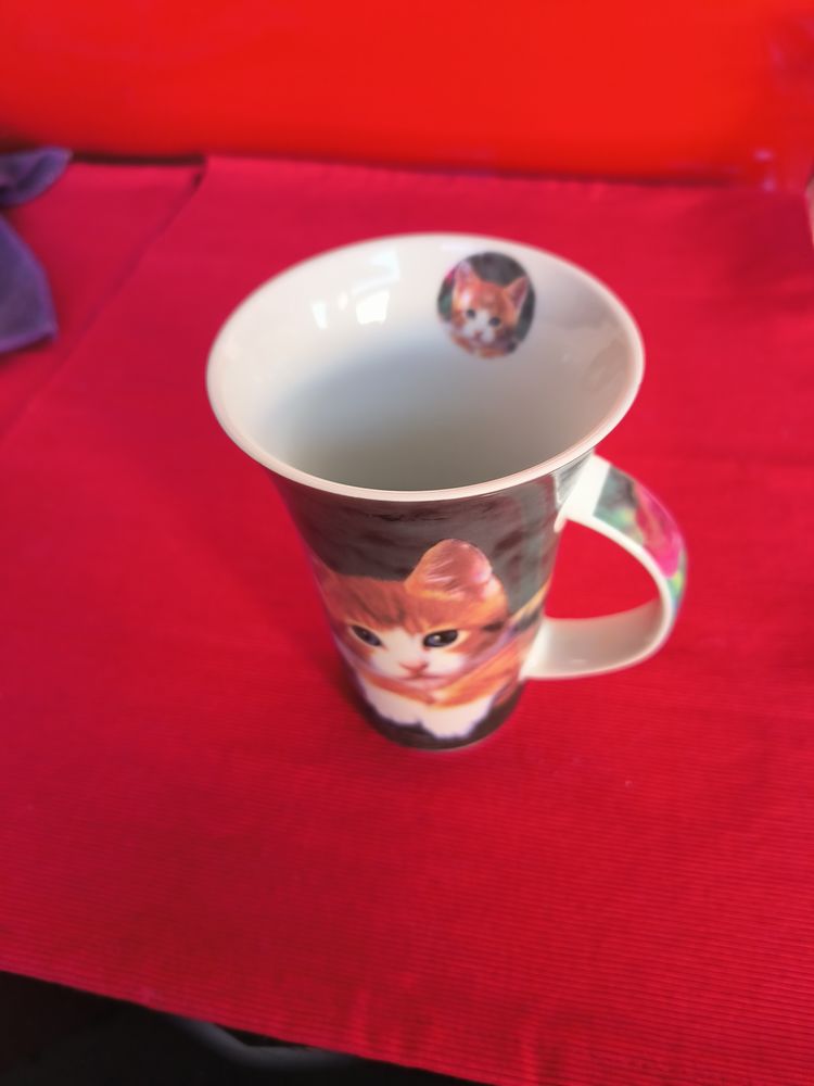 Mazagran chaton c�ramique 5 Six-Fours-les-Plages (83)