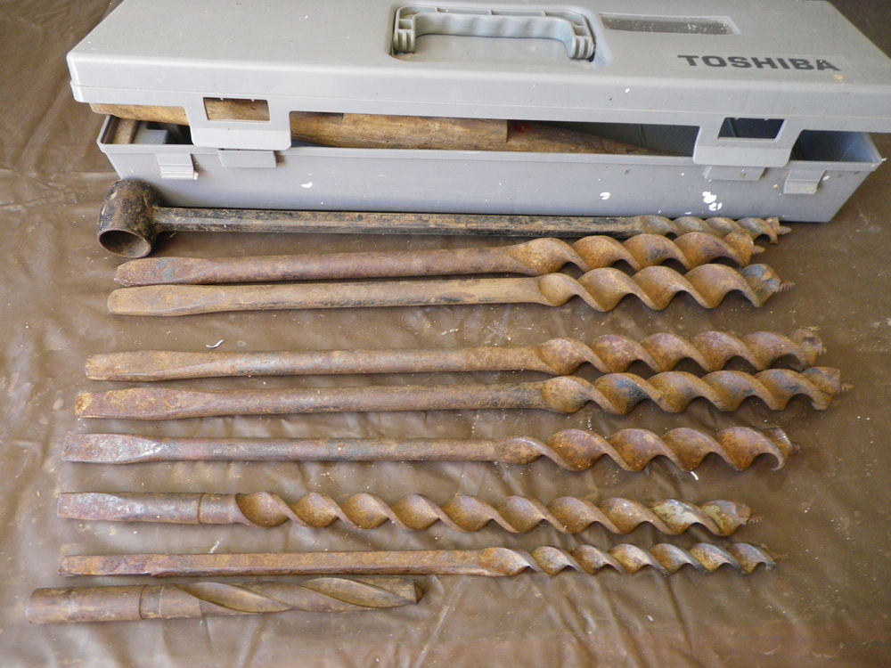 meches/forets 20 Dijon (21)