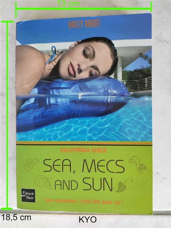 Sea, mecs and Sun - livre fran�ais - Excellent �tat 4 Foncine-le-Haut (39)
