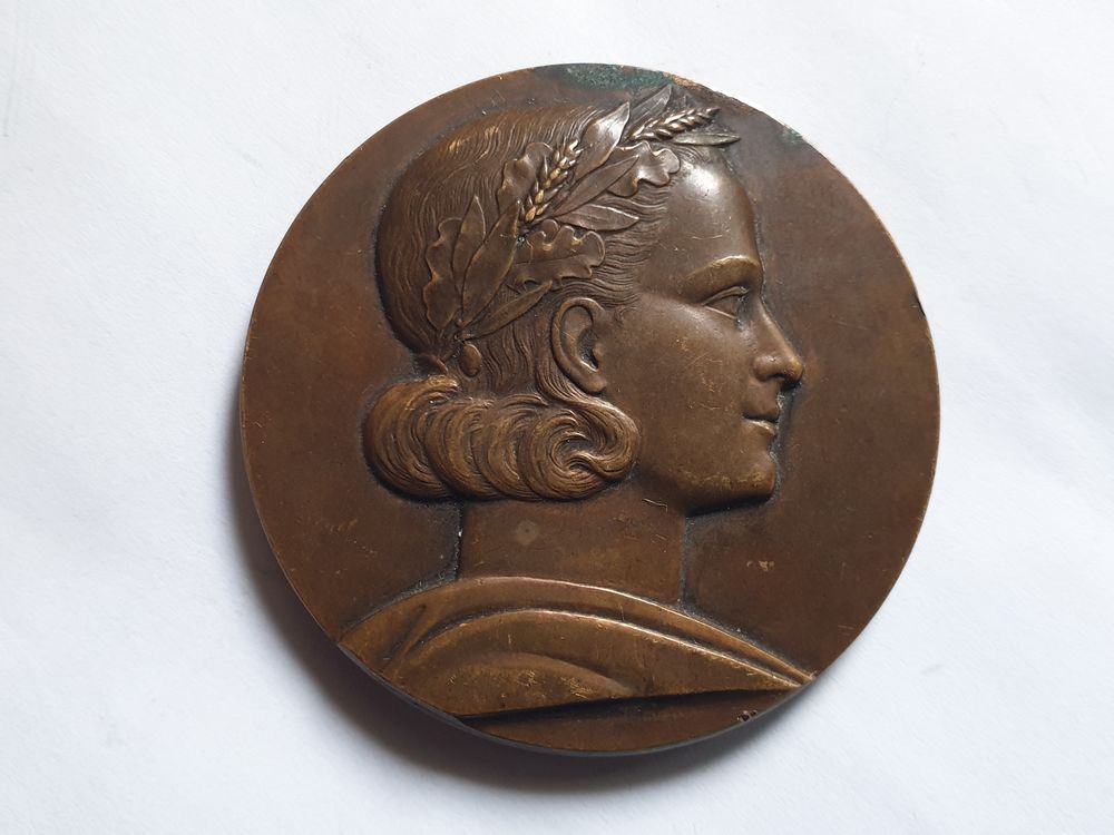 M�daille bronze L.U.N.E.P 50 Bordeaux (33)