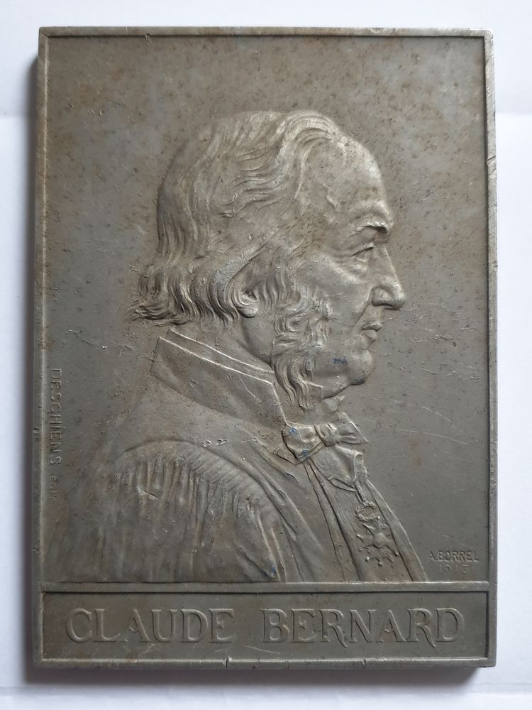 M�daille Plaque Aluminium 35 Bordeaux (33)