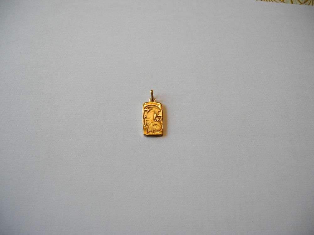 M�daille zodiaque Capricorne 30 Ingr� (45)