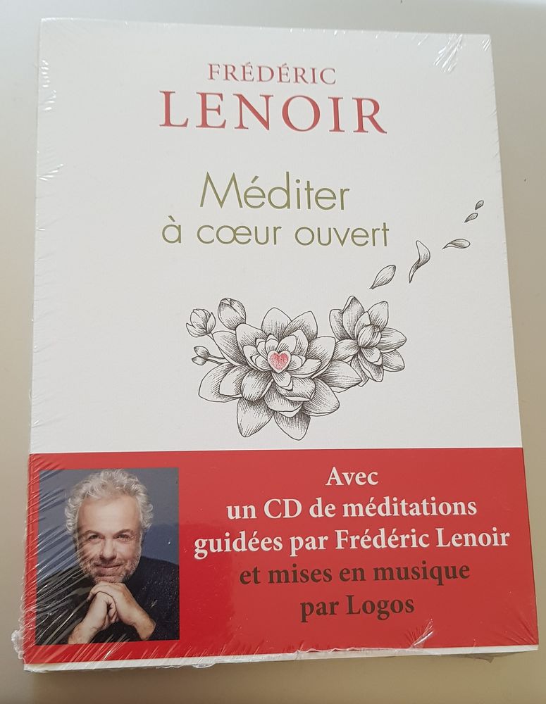 Méditer à coeur ouvert - Frédéric Lenoir 19 Oraison (04)